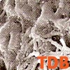 Osseokonduktive Implantatoberflchen